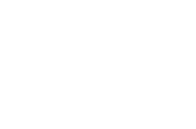 Logo Palácio dos Leilões